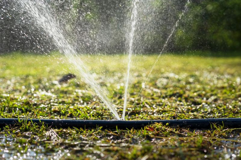 Irrigation System Replacement in Honolulu, HI